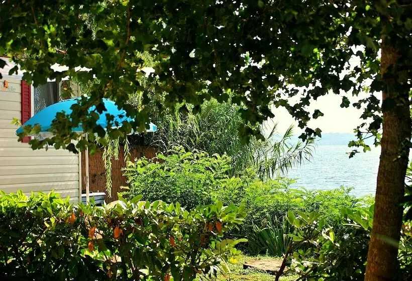 ホテル International Glamping Lago Di Bracciano