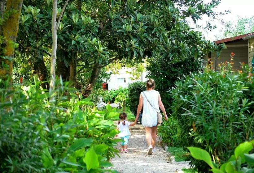 ホテル International Glamping Lago Di Bracciano