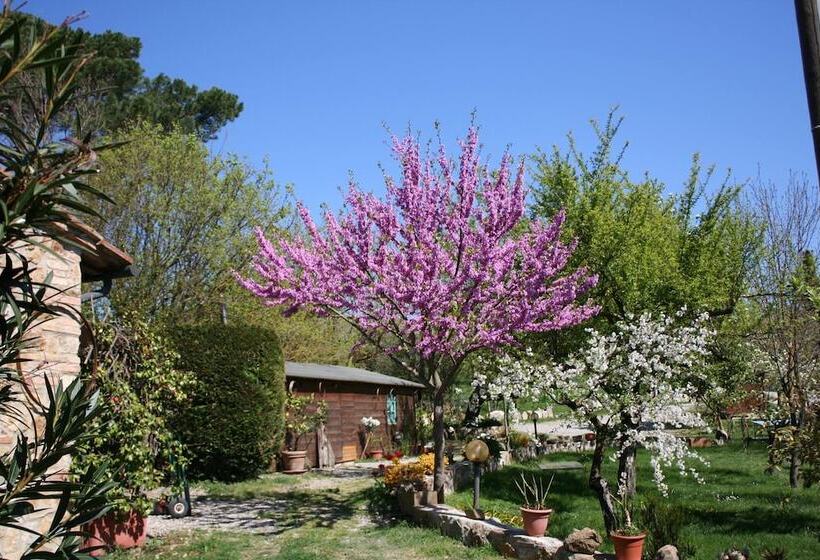 בית מלון כפרי Agriturismo Grecinella