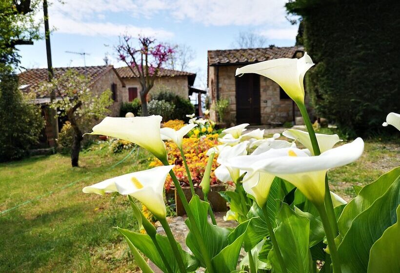 בית מלון כפרי Agriturismo Grecinella