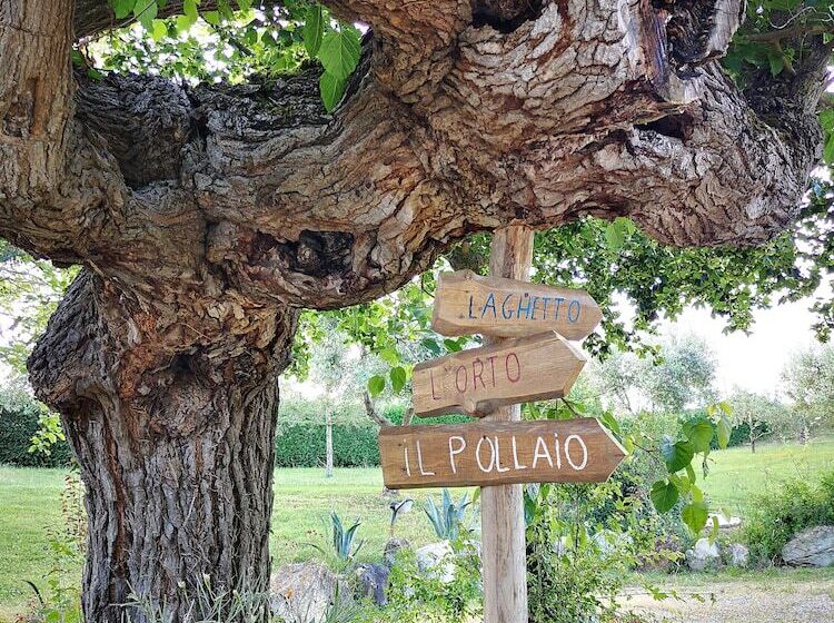 בית מלון כפרי Agriturismo Grecinella