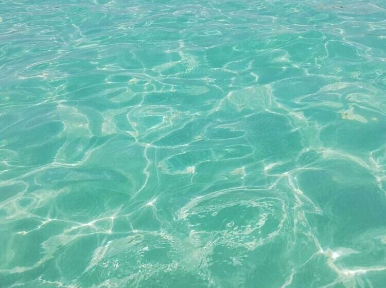 مبيت وإفطار Coast To Coast Salento Sea Rooms