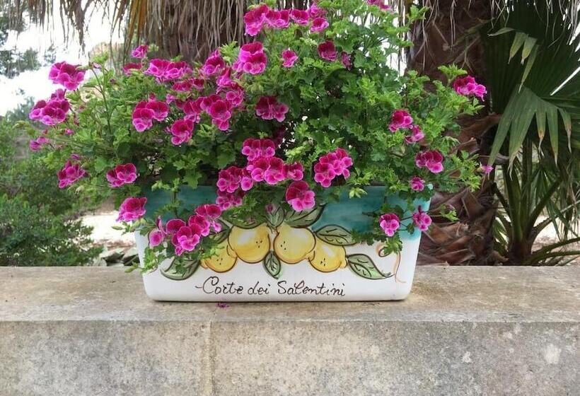 Bed and Breakfast Corte Dei Salentini