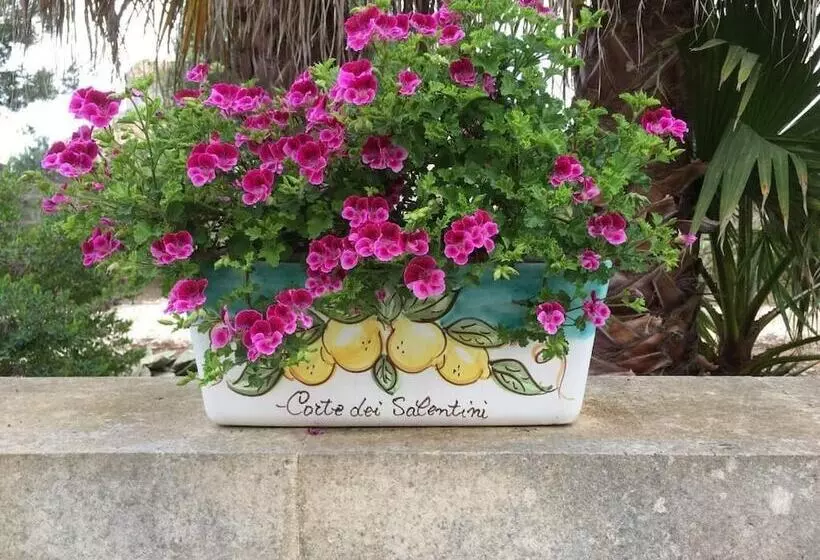 Aamiaismajoitus (B&B) Corte Dei Salentini