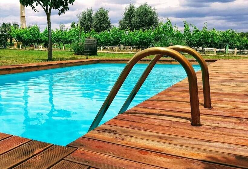 تختخواب و صبحانه Monte Das Aranhas Wine Luxury