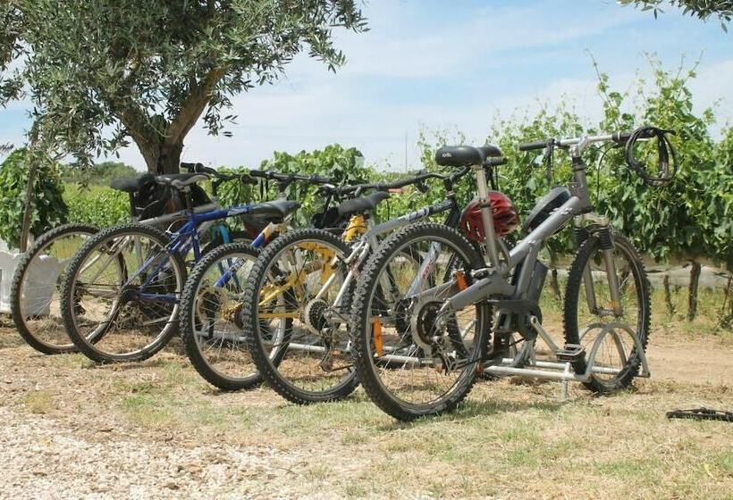 تختخواب و صبحانه Monte Das Aranhas Wine Luxury