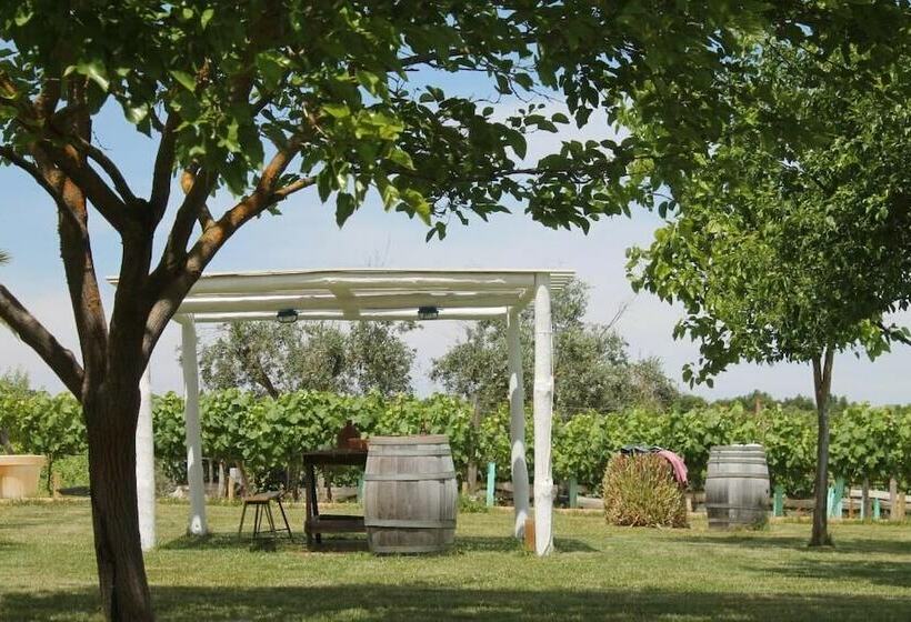 تختخواب و صبحانه Monte Das Aranhas Wine Luxury