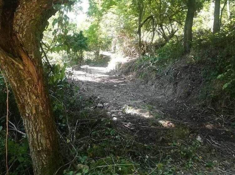 田舎風ホテル Bioagriturismo Sofia