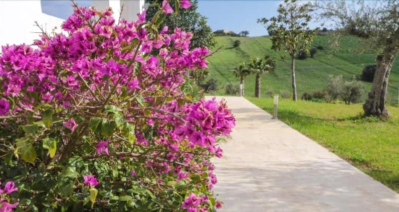 Le Valli Di Vendicari