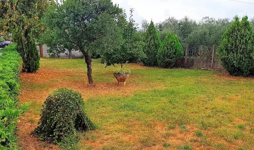 Majatalo B&b Ricci By Holidayngo