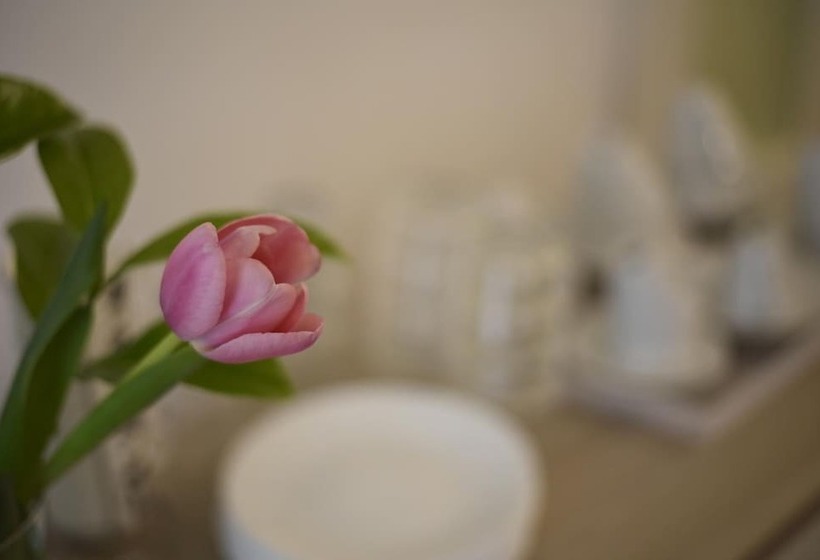 B&b Siracusa Holidays