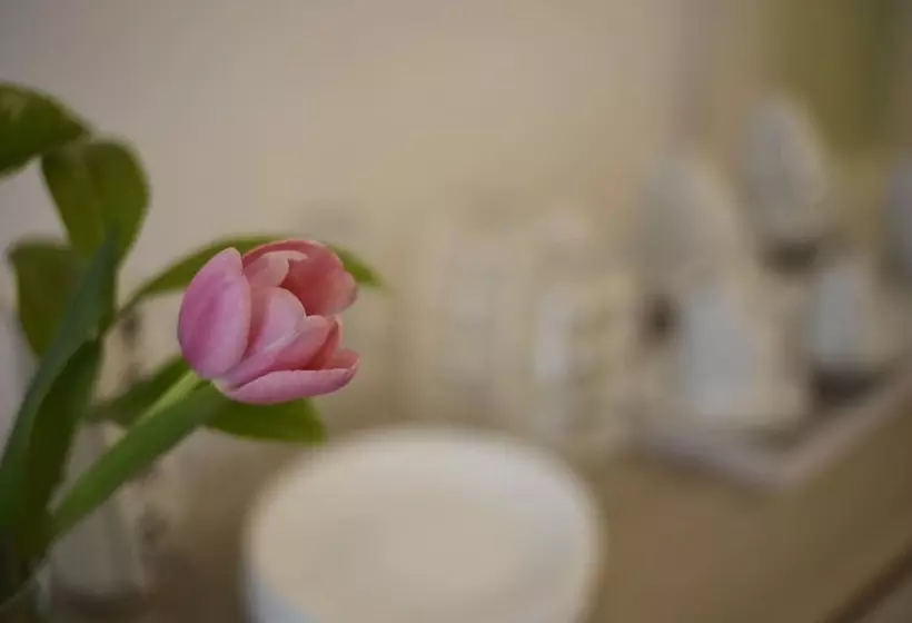 B&b Siracusa Holidays