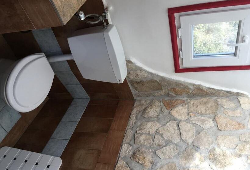 住宿加早餐  Camilla House