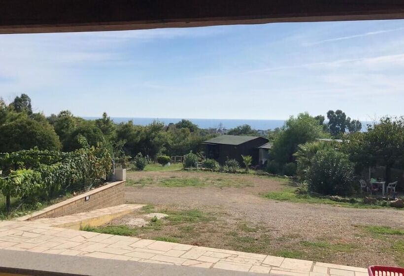 住宿加早餐  Camilla House