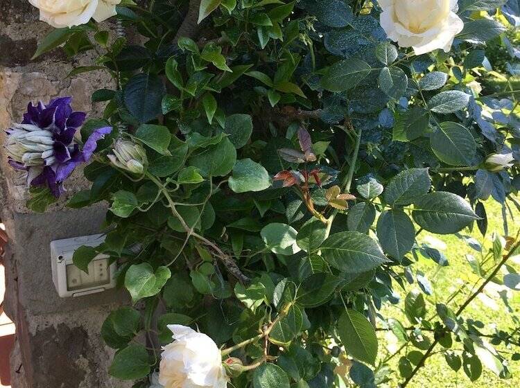 צימר Villa Del Lago