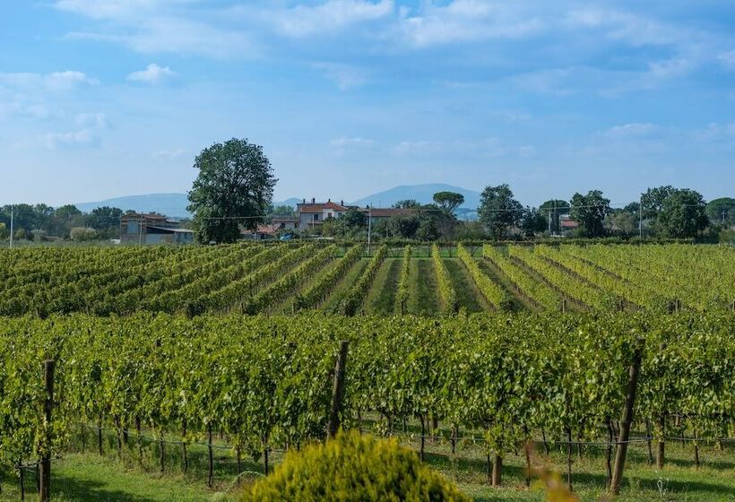 교외 호텔 Agriturismo Il Cantico Di San Francesco