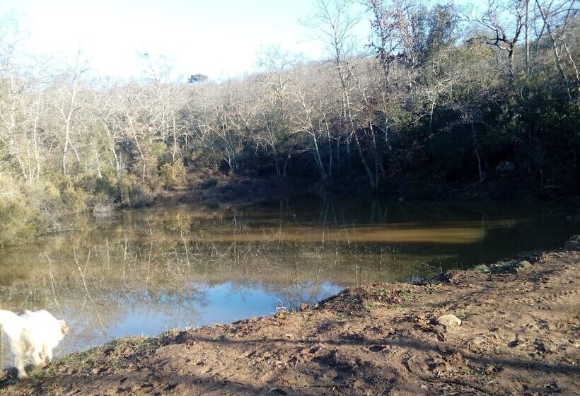 田舎風ホテル Podere Campovecchio