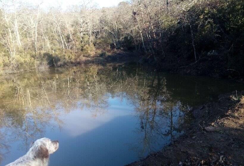 田舎風ホテル Podere Campovecchio