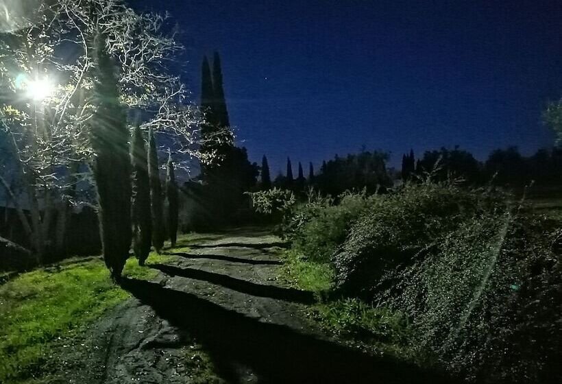 田舎風ホテル Podere Campovecchio