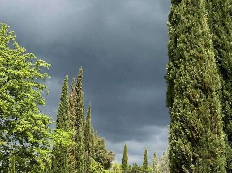 田舎風ホテル Podere Campovecchio