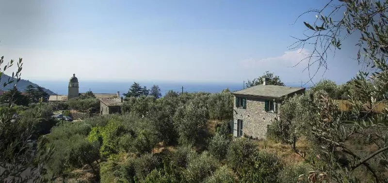 پانسیون The Garden