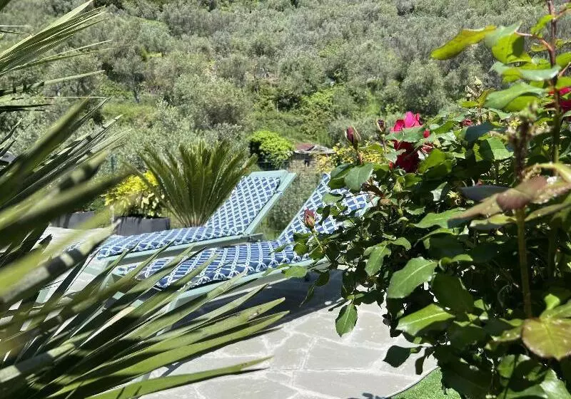 پانسیون The Garden