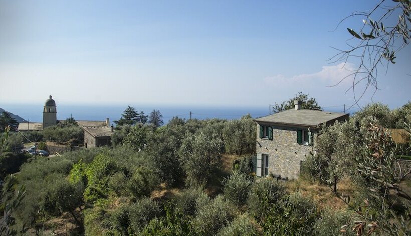 פנסיון The Garden