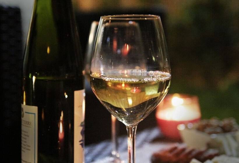 פנסיון The Garden