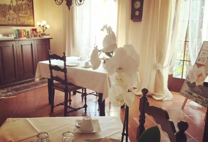 B&b Azalea