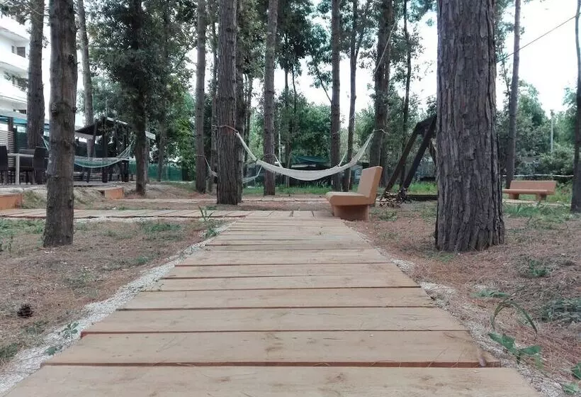 Biancopineta B&b