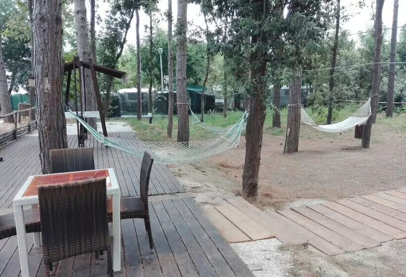 Biancopineta B&b