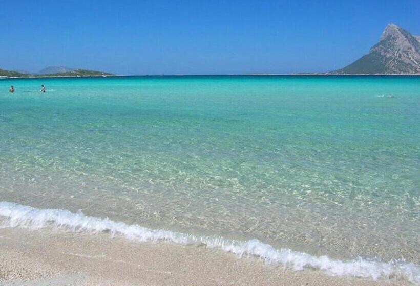 Bed and Breakfast Brezza Di Mare