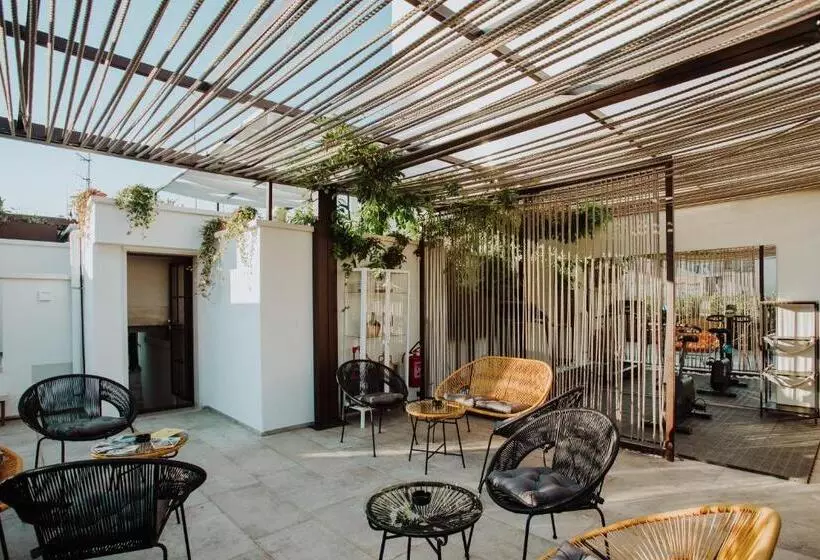 تختخواب و صبحانه Suite1212  Pirrelli