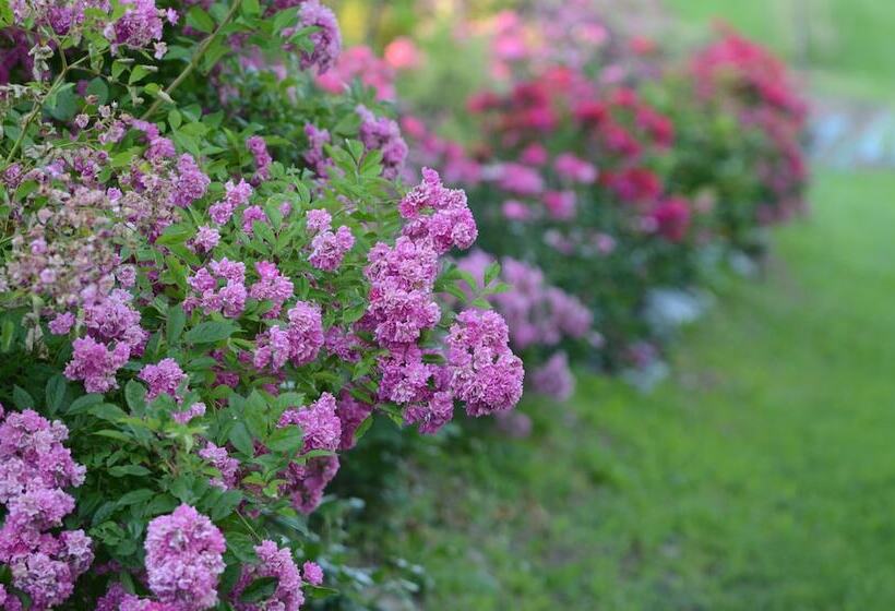 فندق ريفى Agriturismo Madonna Della Corte