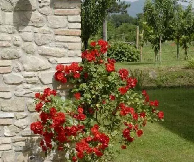 Maaseutuhotelli Ca  Matra