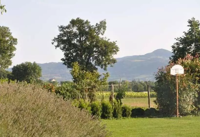 Maaseutuhotelli Ca  Matra