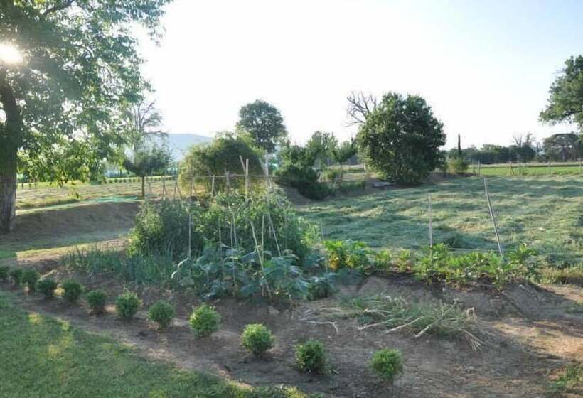 乡村酒店 Ca Matra