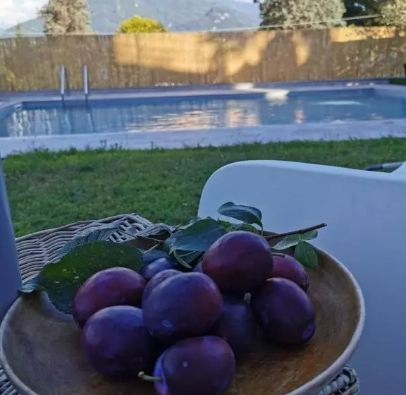 Akuaduulza B&b Como Lake