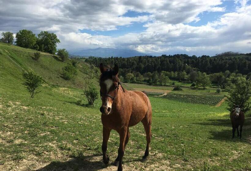 مبيت وإفطار Bellavista Bike Stop