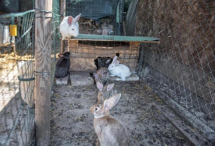 ベッドアンドブレックファースト L Agrifoglio Di Assisi Residenza Di Campagna