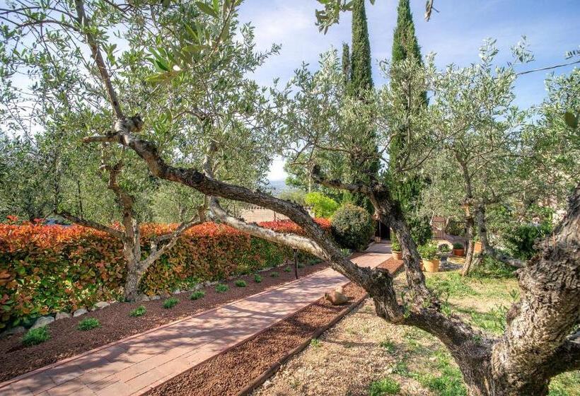 ベッドアンドブレックファースト L Agrifoglio Di Assisi Residenza Di Campagna