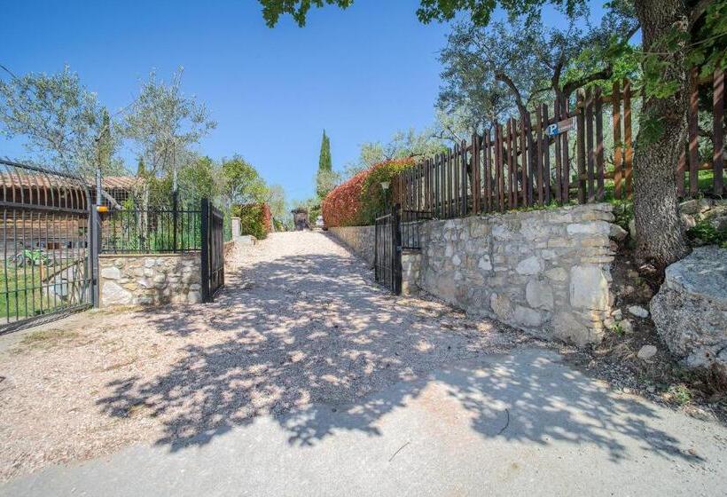 ベッドアンドブレックファースト L Agrifoglio Di Assisi Residenza Di Campagna