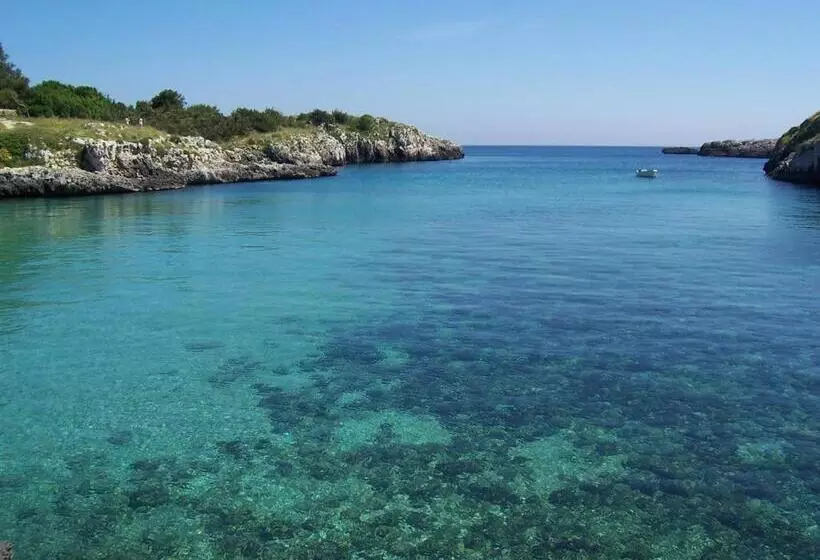 ベッドアンドブレックファースト Vacanze Al Minci