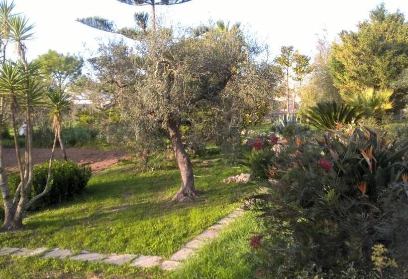 Bed and Breakfast Vacanze Al Minci