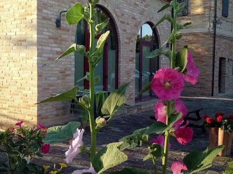 هتل روستایی Agriturismo Forestale Luti