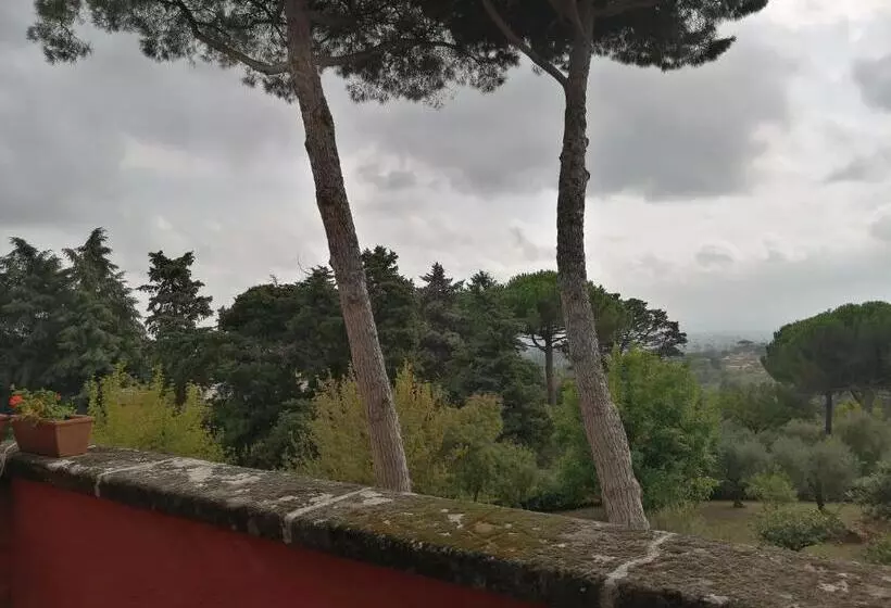 Vigna Dell Agrifoglio   Bed And Breakfast