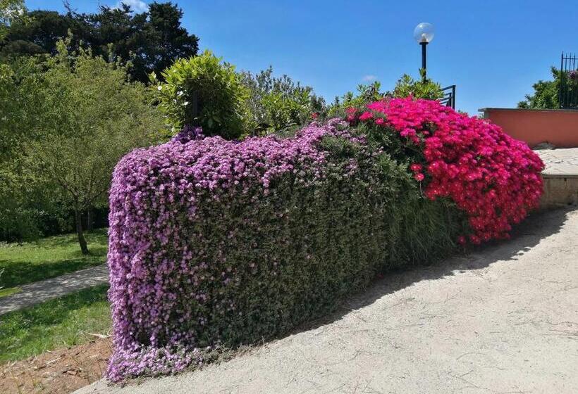 Vigna Dell Agrifoglio   Bed And Breakfast