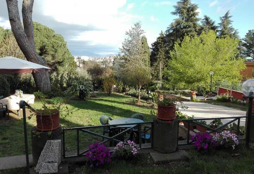 Vigna Dell Agrifoglio   Bed And Breakfast