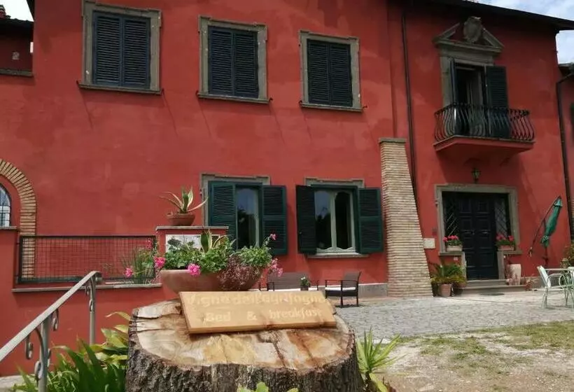 Vigna Dell Agrifoglio   Bed And Breakfast