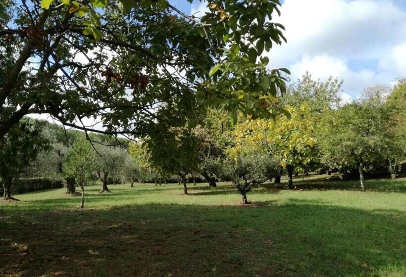 Vigna Dell Agrifoglio   Bed And Breakfast